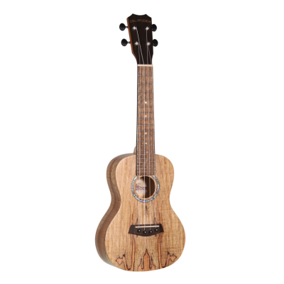 Islander MAC-4 Traditional concert ukulele with spalted maple top