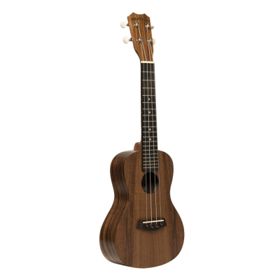 Islander AC-4 FLAMED Traditional concert ukulele with flamed acacia top