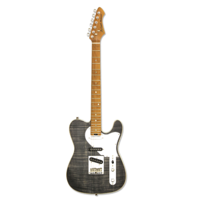 Aria A-615-MK2 BKDM Elektrische gitaar