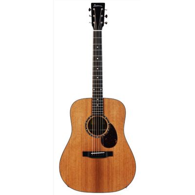 Eastman E2D Dread - Acoustic Guitar