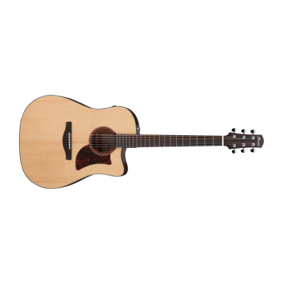 Ibanez AAD170CE Natural Low Gloss Dreadnought Acoustic Guitar