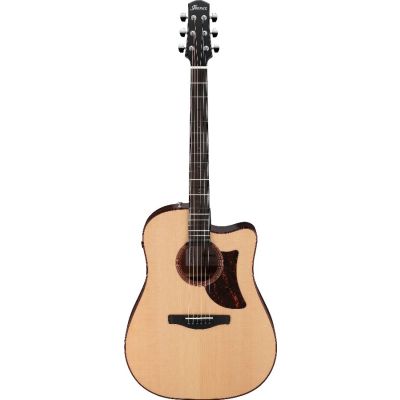 Ibanez AAD300CELGS - Acoustic Guitar