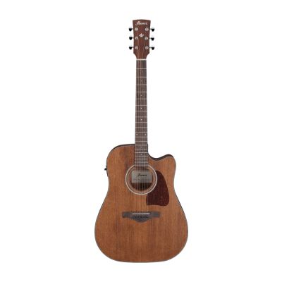 Ibanez AW54CE Open Pore Natural Electro-Acoustic Guitar