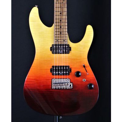 Ibanez AZ242FTSG - Elektrische gitaar
