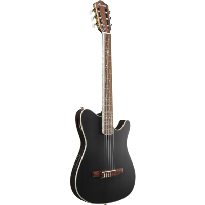 Ibanez TOD10N Transparent Black Flat Electro-Acoustic Guitar