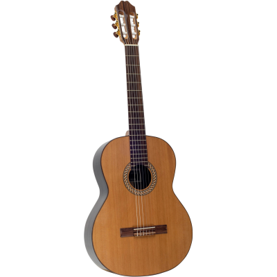 Juan Salvador 10C - Classical Guitar