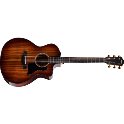 Taylor 224ce-K DLX Guitarre Acoustique