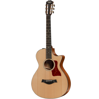 Taylor 512ce Guitarre Acoustique -12 frets